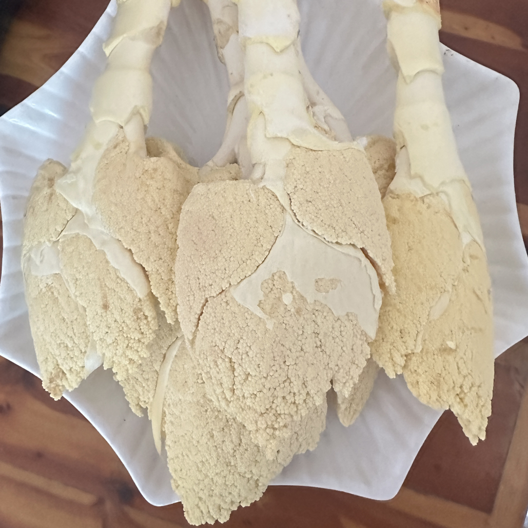 农家棕贝食用棕苞棕包棕贝米特产包邮