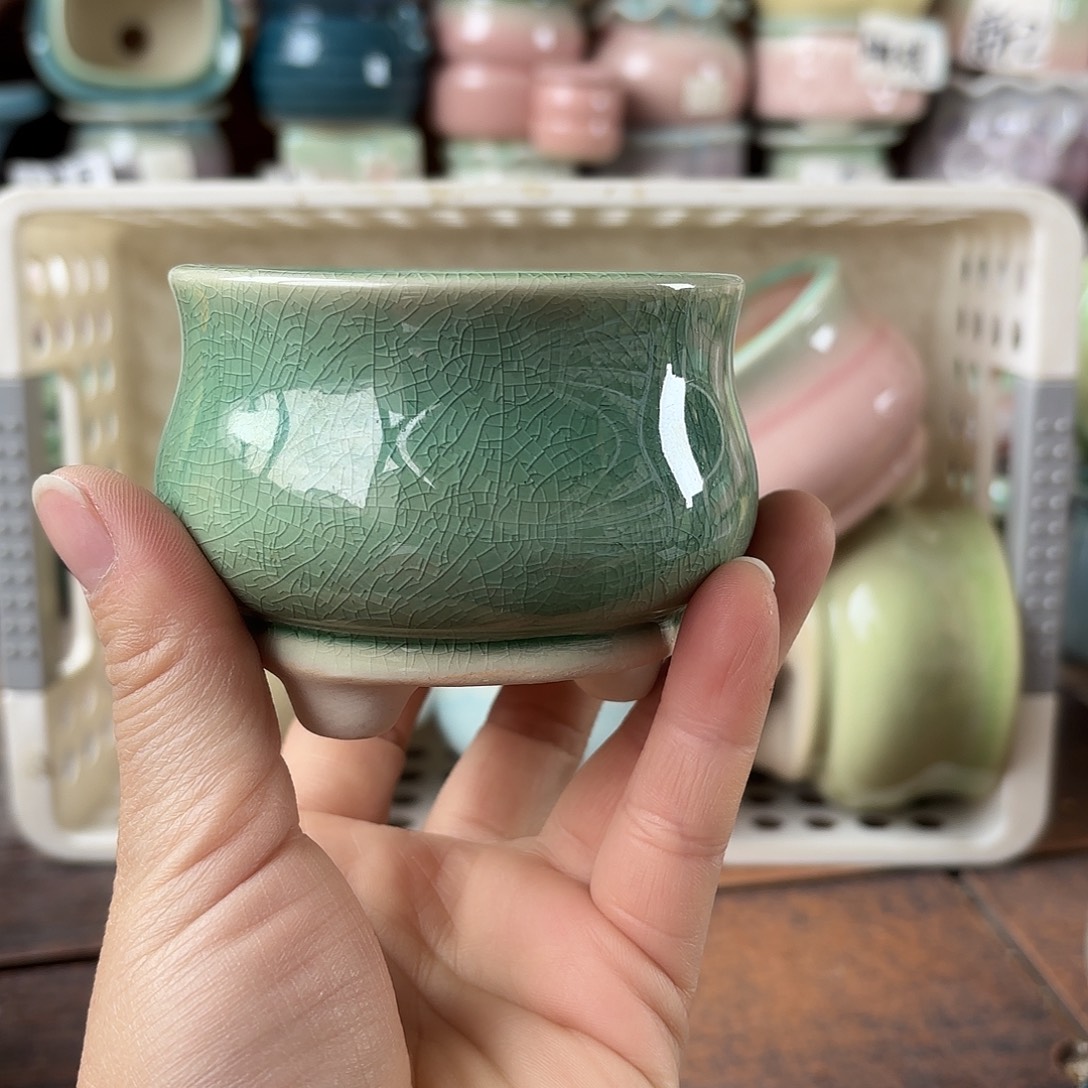 量货/口7高6深浅搭配发6