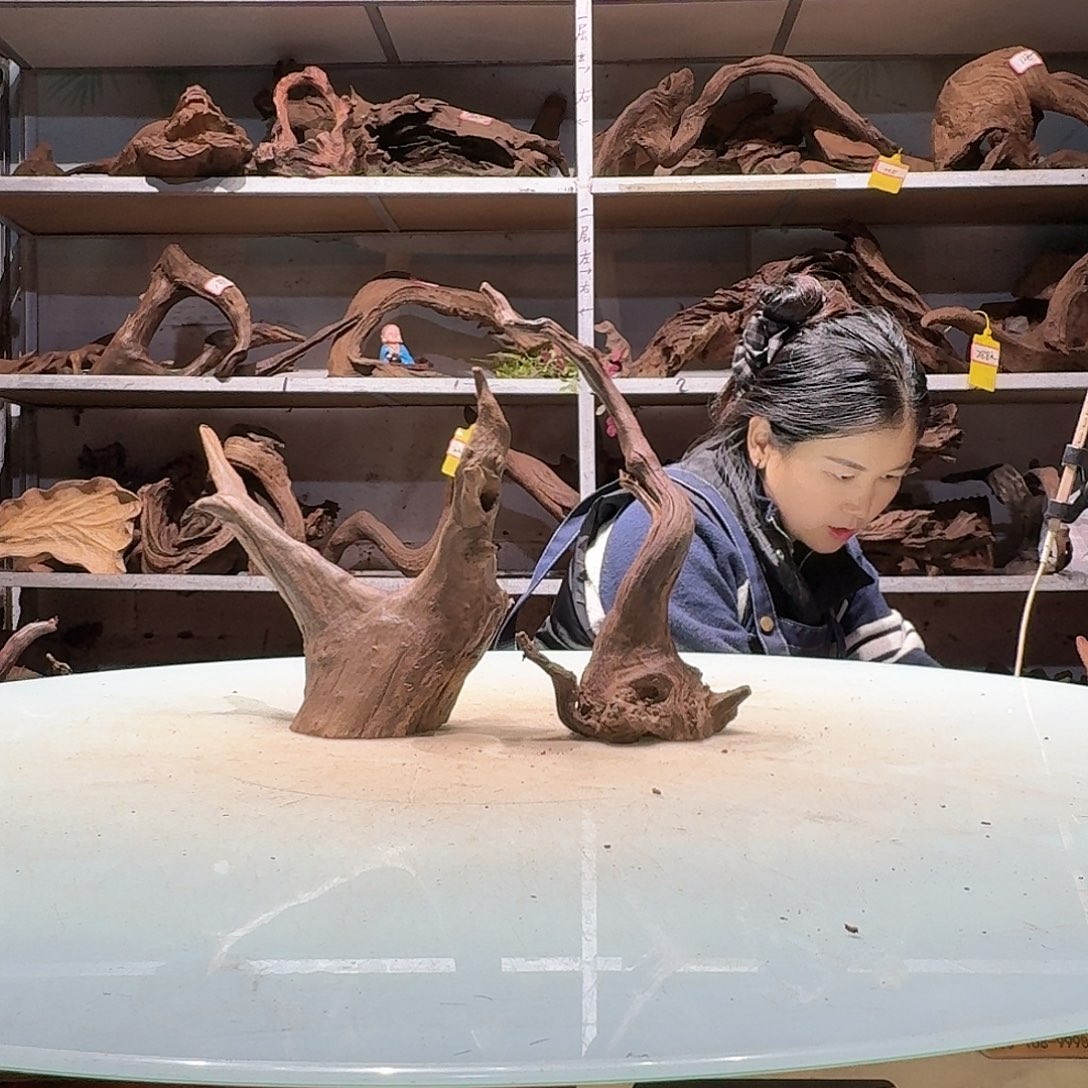 倍褚沉木不包损必褪色运*6658-2