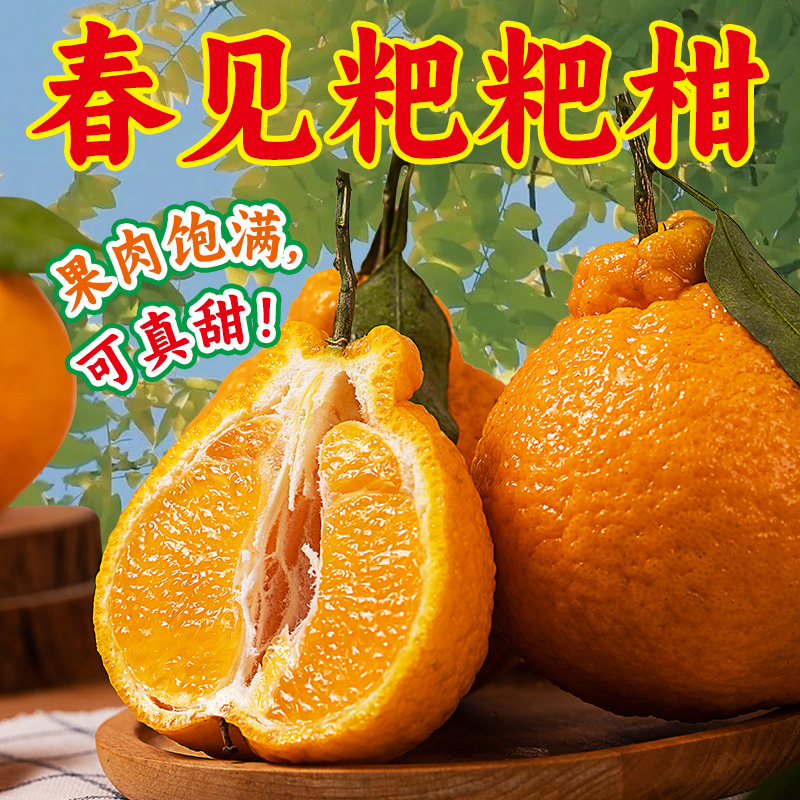 【奔奔山】正宗四川新鲜春见耙耙柑当季天然老木果产地现鲜摘现发
