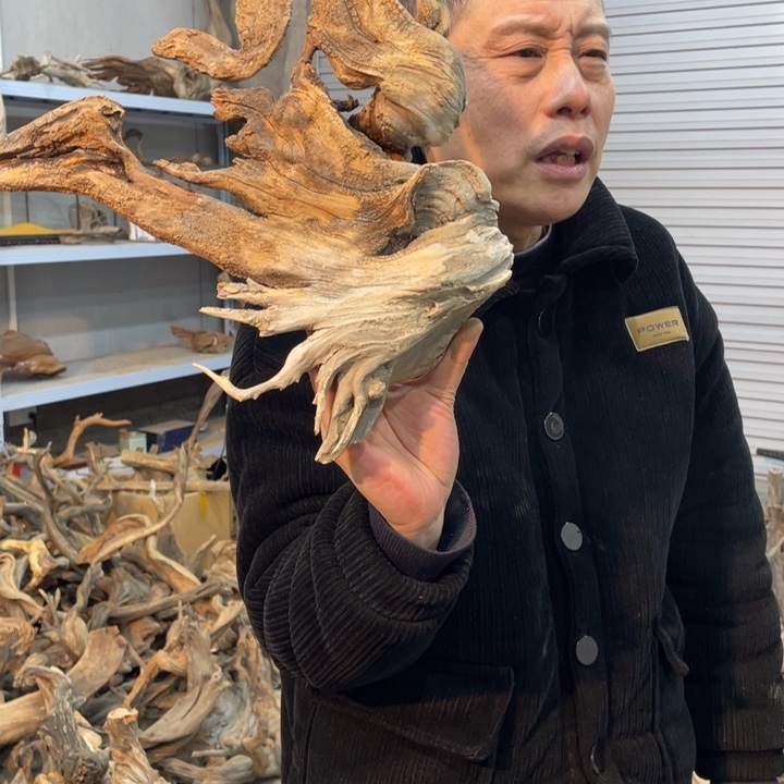 强我们都是好孩子呀