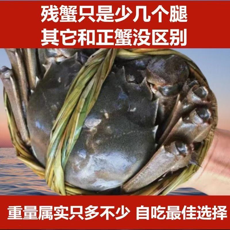 【活蟹】大闸蟹微瑕二斤（介意者慎拍）单只2.5两以上公母混装