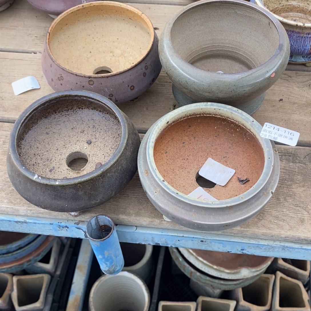 A***g116号多肉盆四个组合