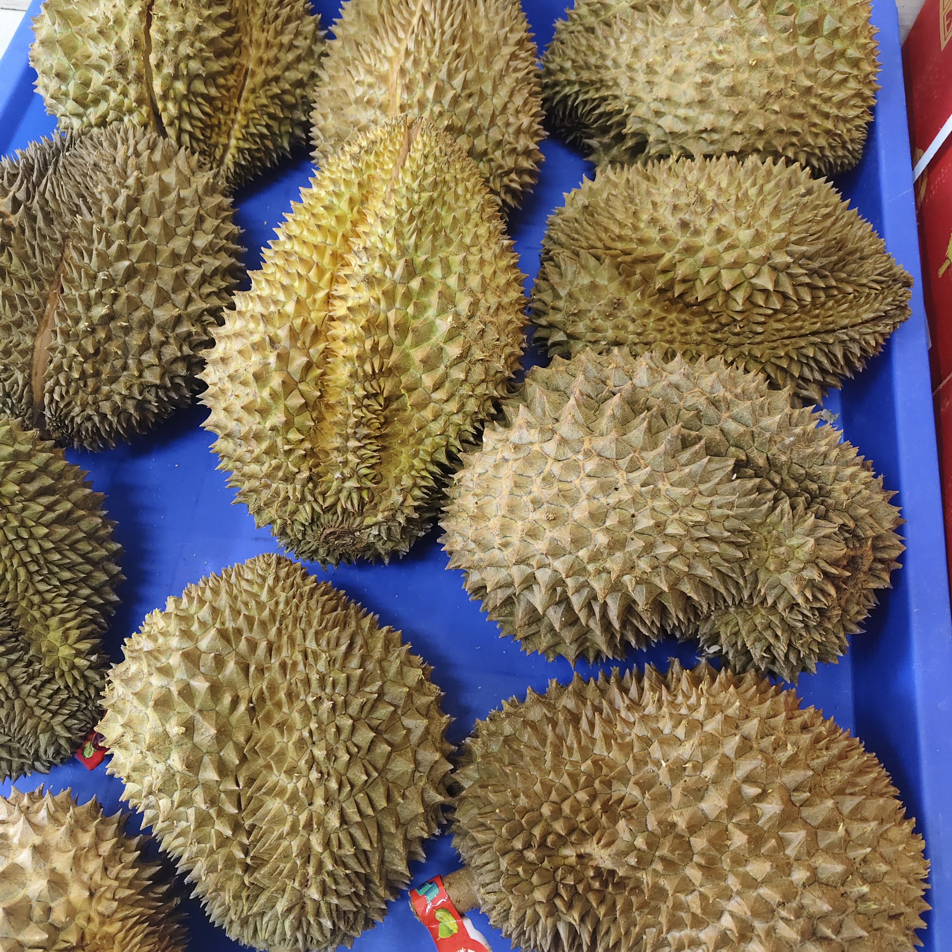 越南金枕新鲜核大榴莲 30 一斤金枕越南