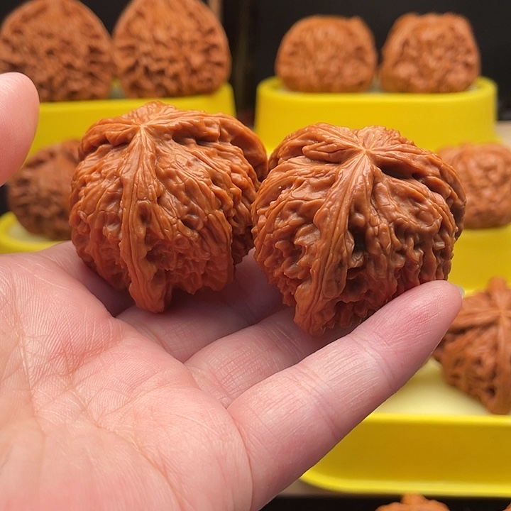 飘***逸核桃核桃核桃核桃仁