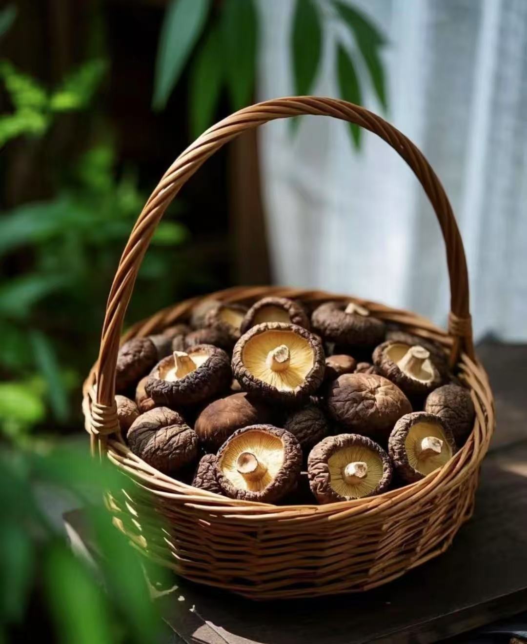 云南特产香菇一手货源直播专用链接