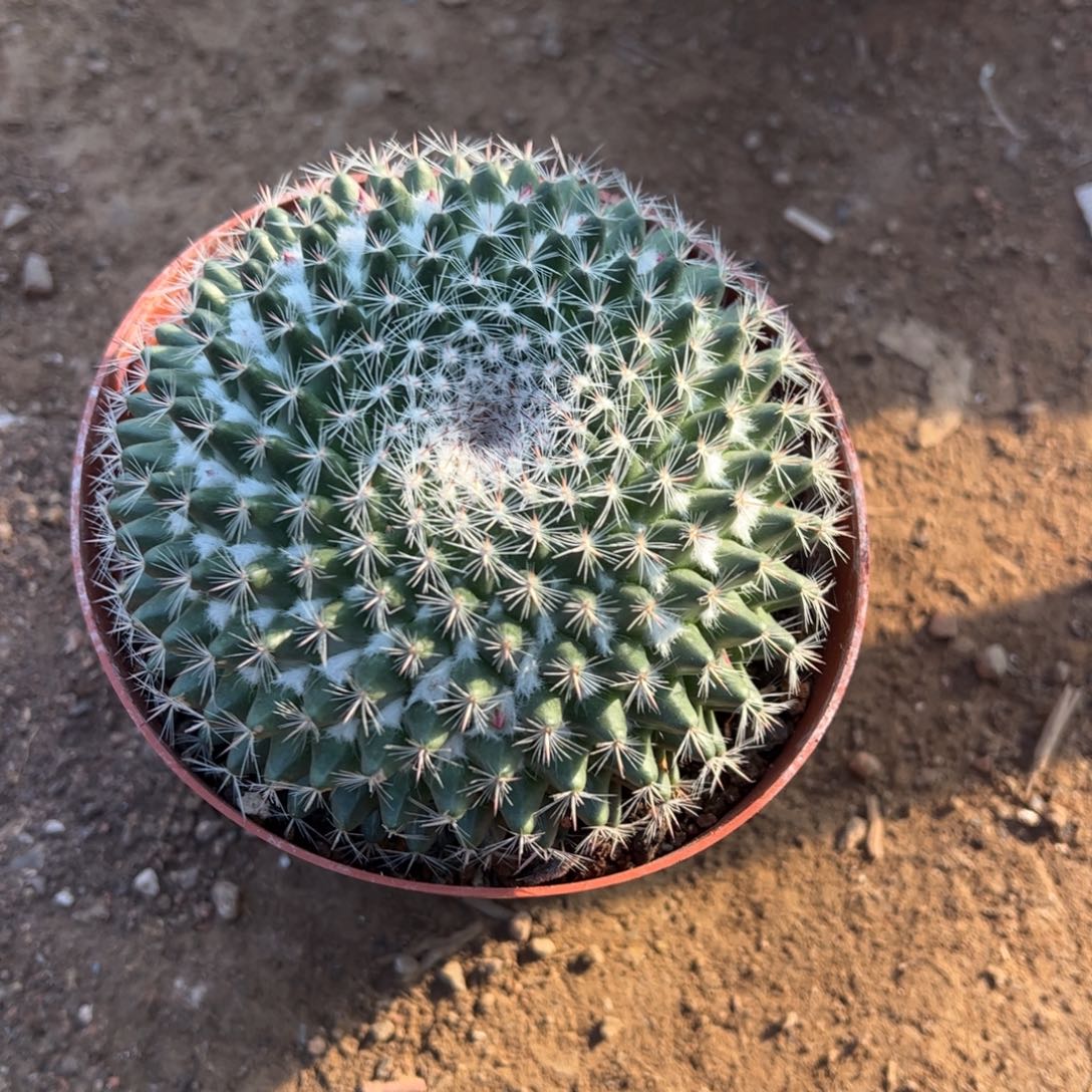 小***窝我是方恋的一个人的