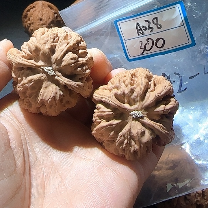 文玩核桃把件43大粗筋A038