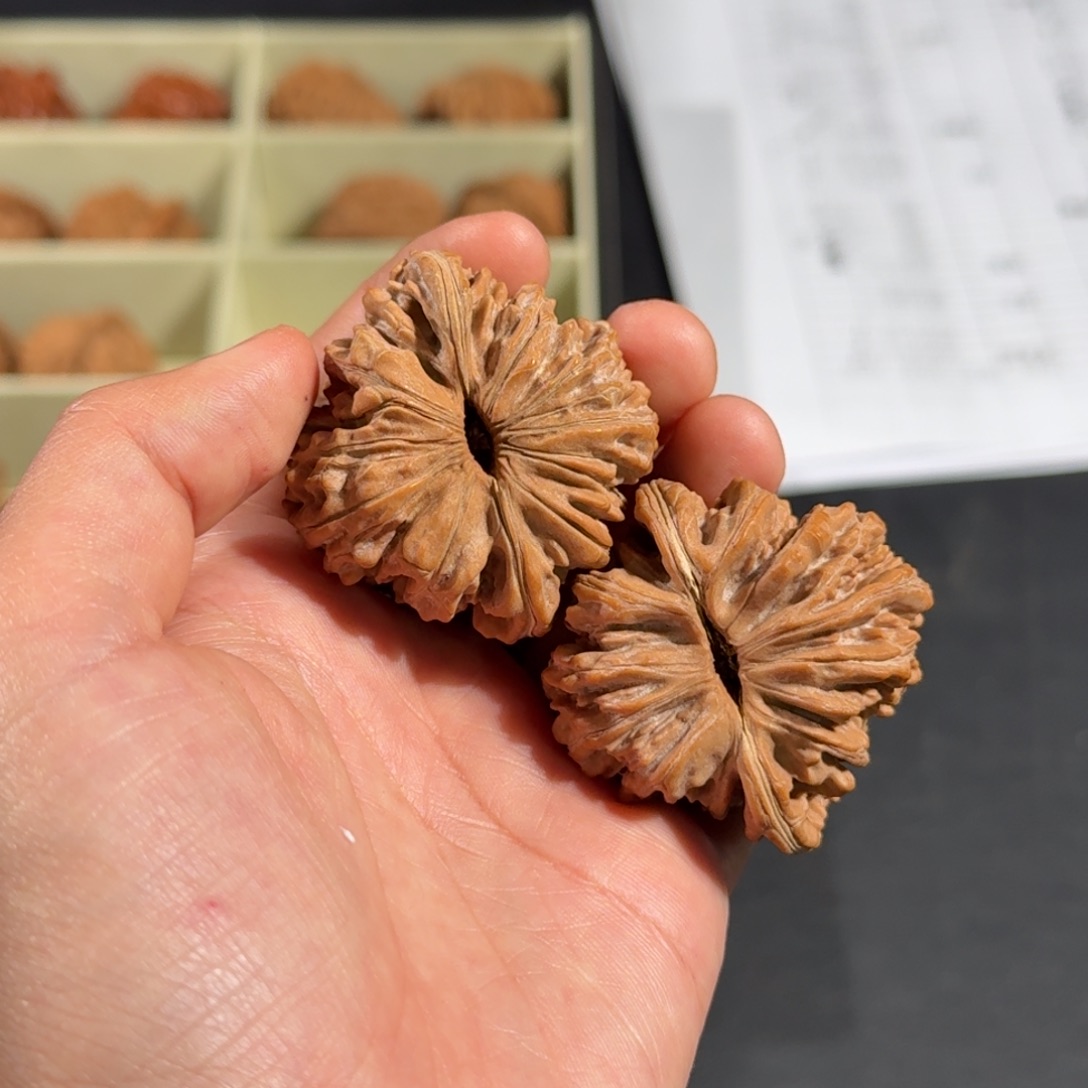 文玩核桃把件602号全品四座楼44-45mm