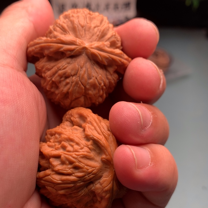 文玩核桃把件用****雪狮子94