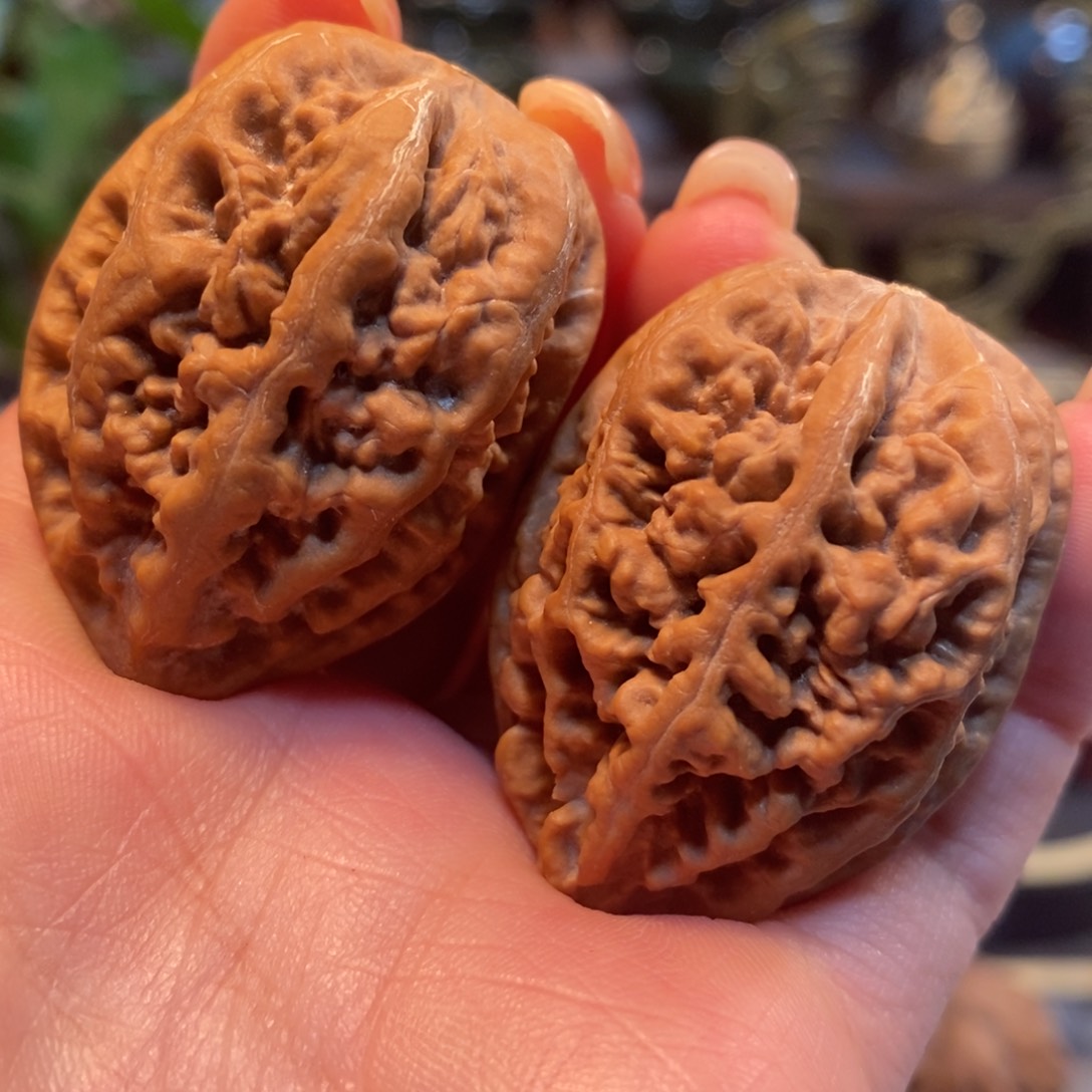 文玩核桃吊坠老树珊瑚纹33