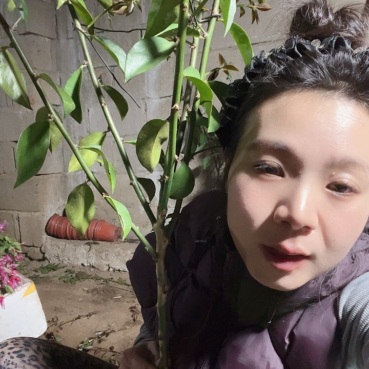 朋***朋7920五分枝叶仙哈哈