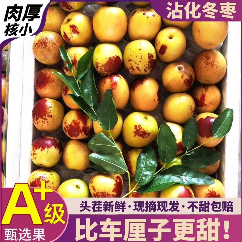 【5斤特大果】山东沾化冬枣新鲜采摘现发核小肉厚3/5斤q