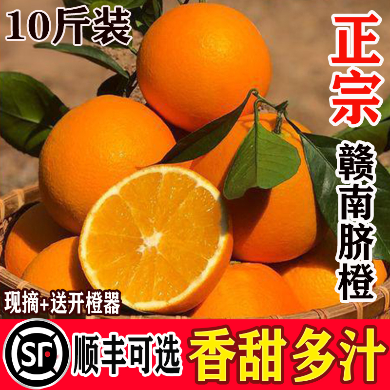 【主播推荐】江西赣南脐橙产地直发当季新鲜香甜橙子5/10斤整箱包邮