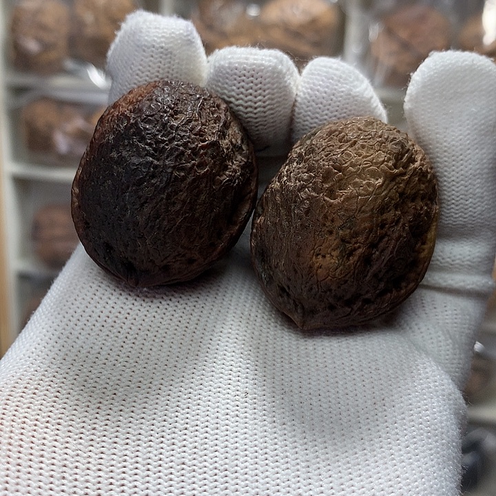 核桃花彩小罗汉7号