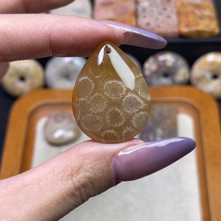 未镶嵌吊坠硅化珊瑚（珊瑚玉）