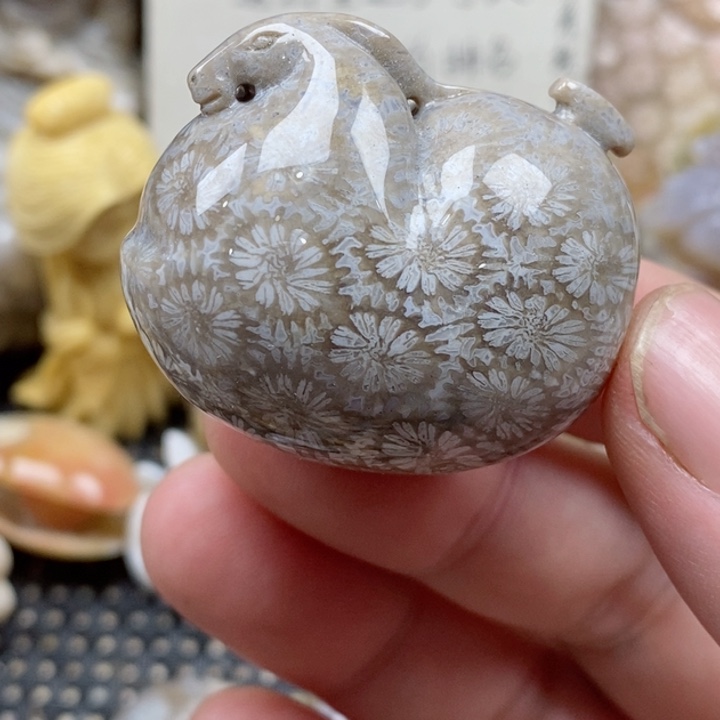 颈饰未镶嵌硅化珊瑚（珊瑚玉）