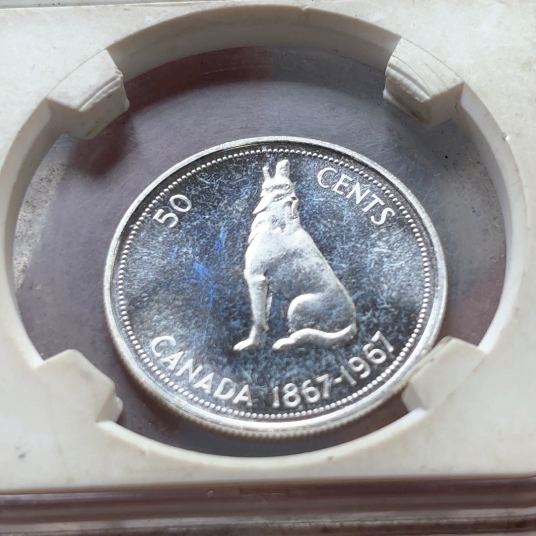 银Ag800加拿大50加分银币
