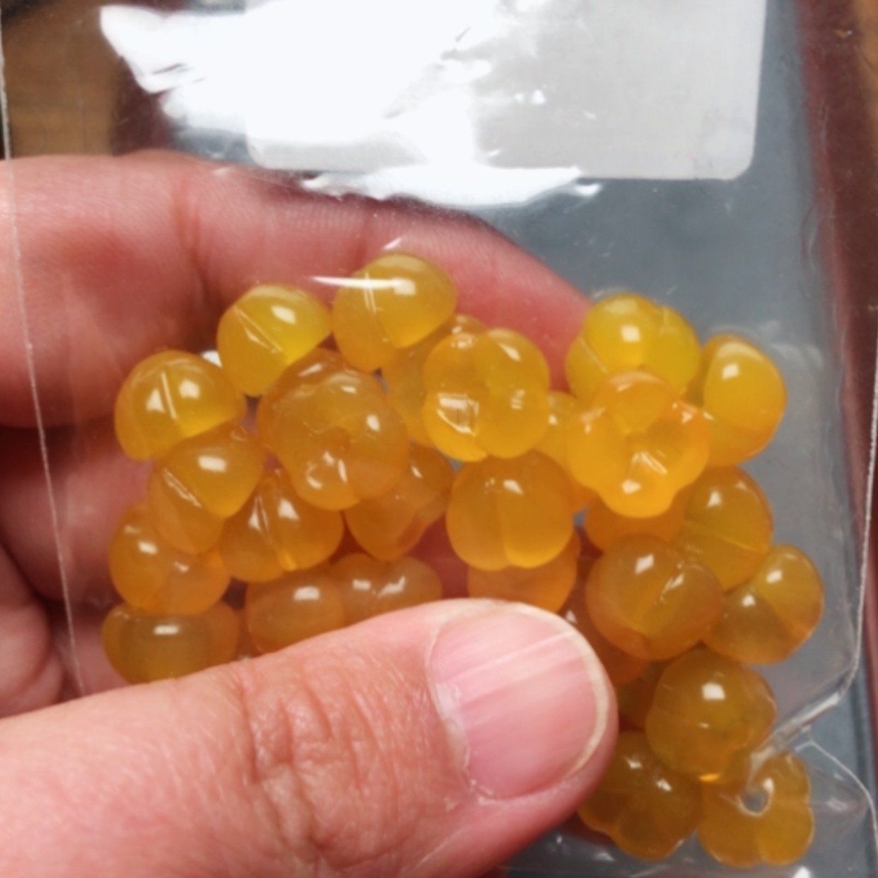 【闪购商品】2颗桂花！！！！！！！