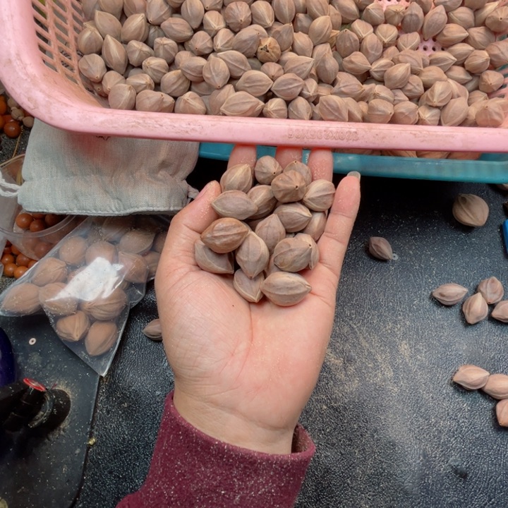 手串/手链橄榄核用****8橄榄原料不退不换