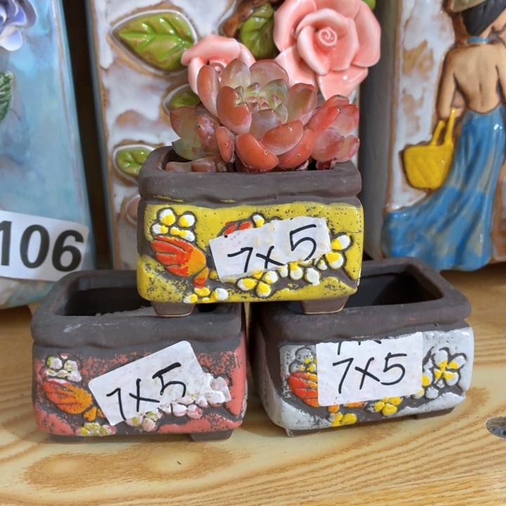 多肉花盆满15包邮