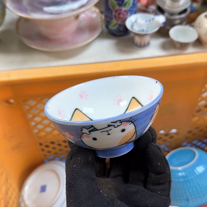 壶开播啦….开播啦