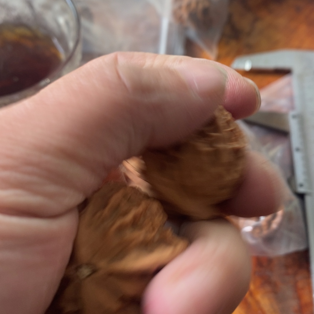 秦岭南侧和东北北部部分的