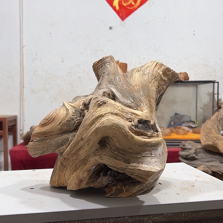 柏木精****》我们的生活是以