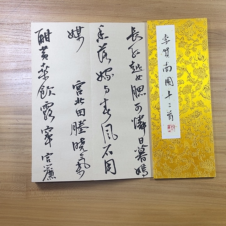 书法中书协会员作品