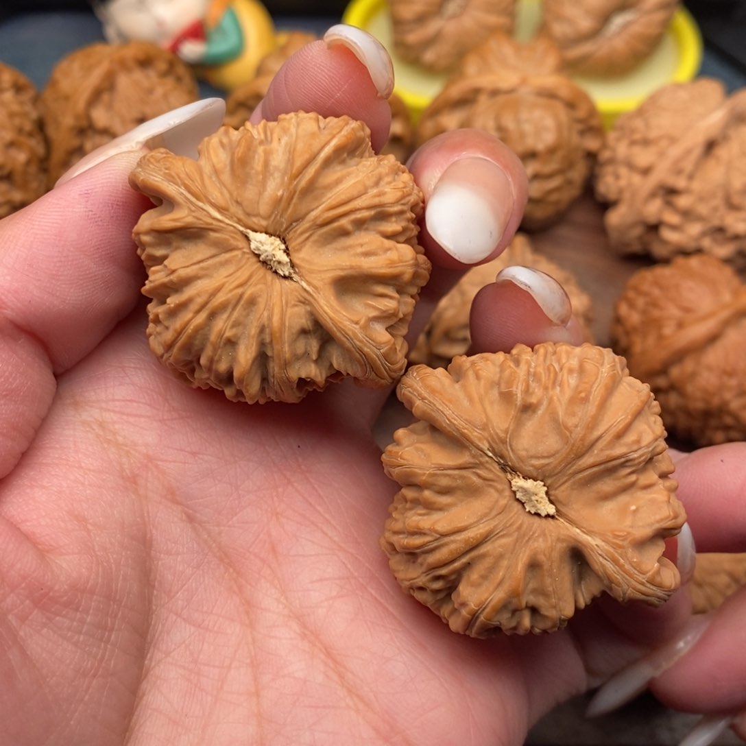 文玩核桃把件良全品三角白狮子40