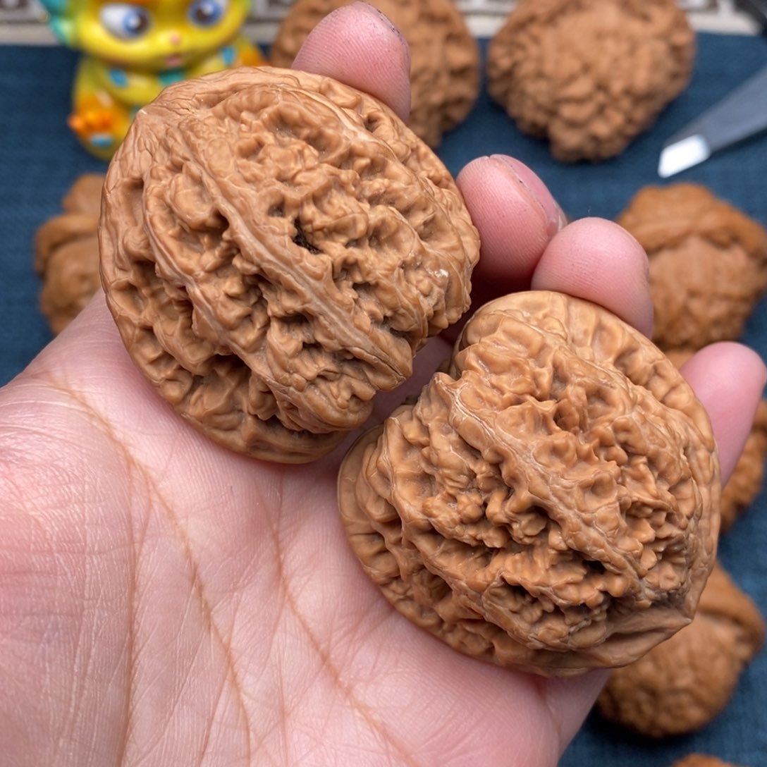 文玩核桃把件海*二42原桩粗筋全品