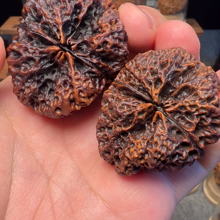 文玩核桃把件苍山神鹰46mm