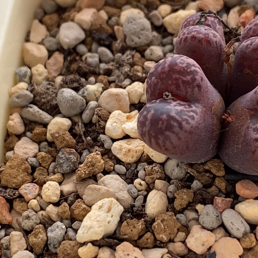 阿****90/马克马克马克马克