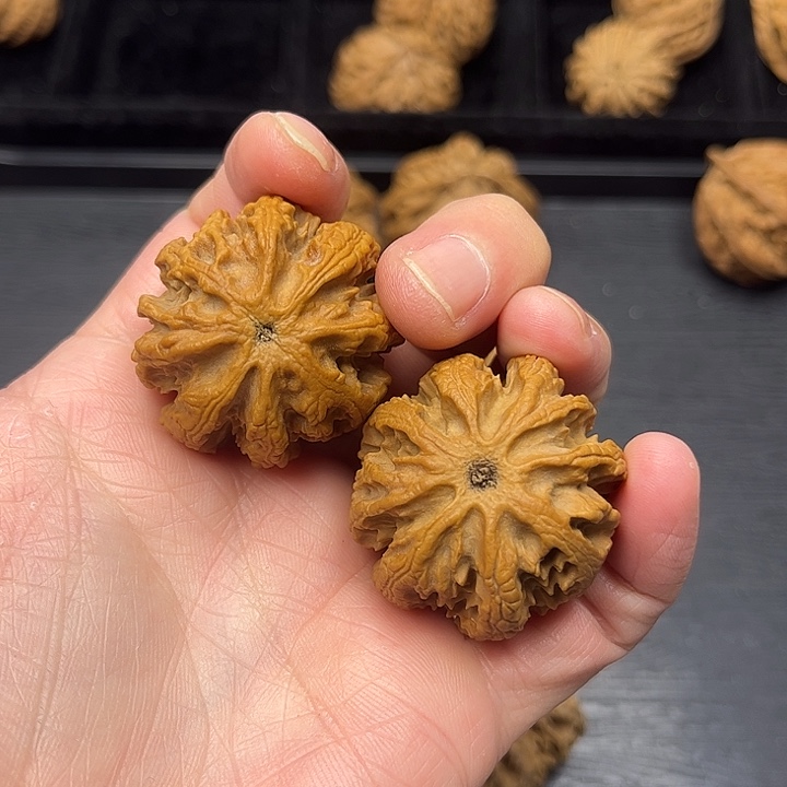 添***核桃突突突突突突突突突突