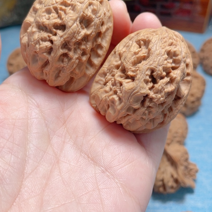 益****）35尺寸华北将军膀