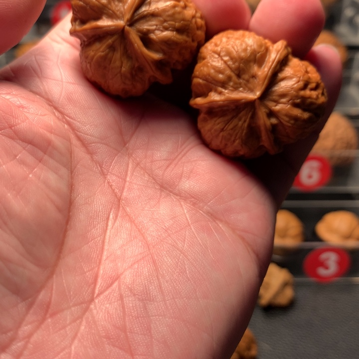 驰***下文玩核桃吊坠闷尖三棱