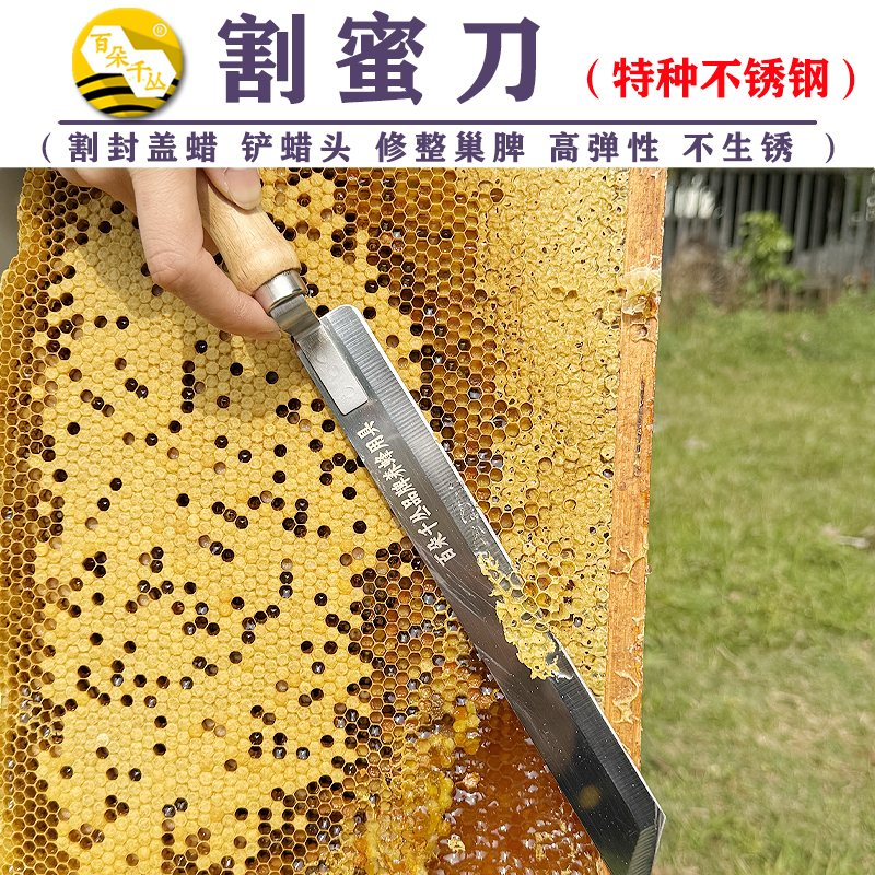 不锈钢割蜜刀养蜂专用工具超薄锋利Z型割蜂蜜手工割巢脾