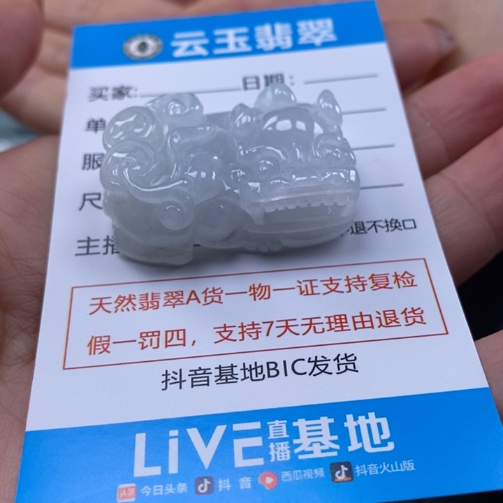 翡翠未镶嵌颈饰多人貔貅