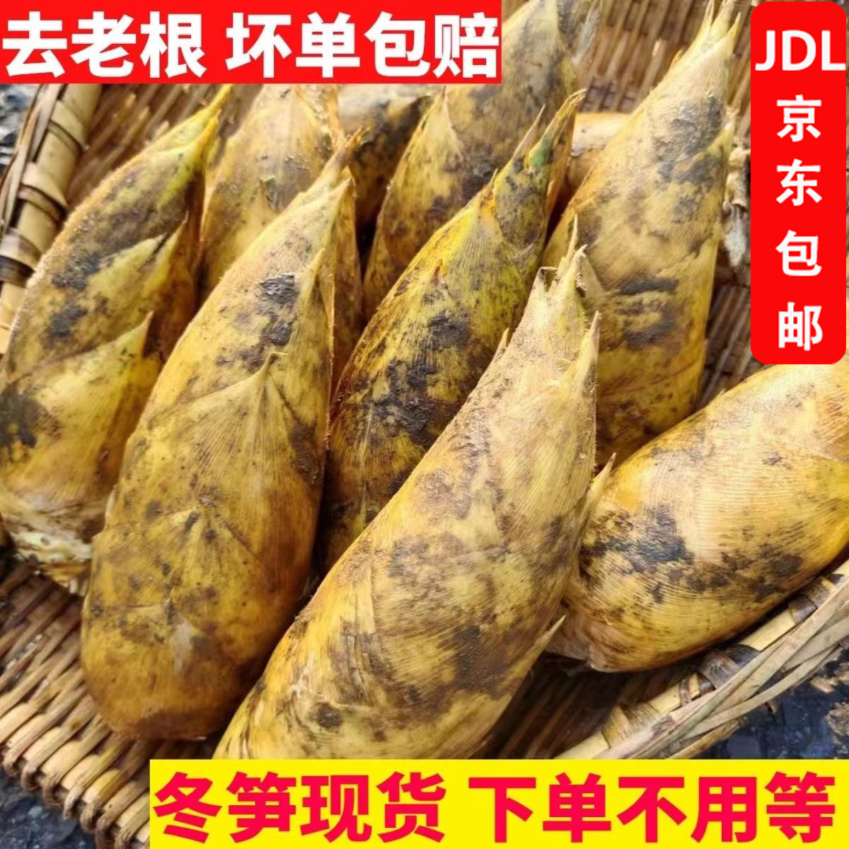 【京东包邮-送货上门】正宗高山冬笋当季新鲜农家现挖毛竹笋小冬笋