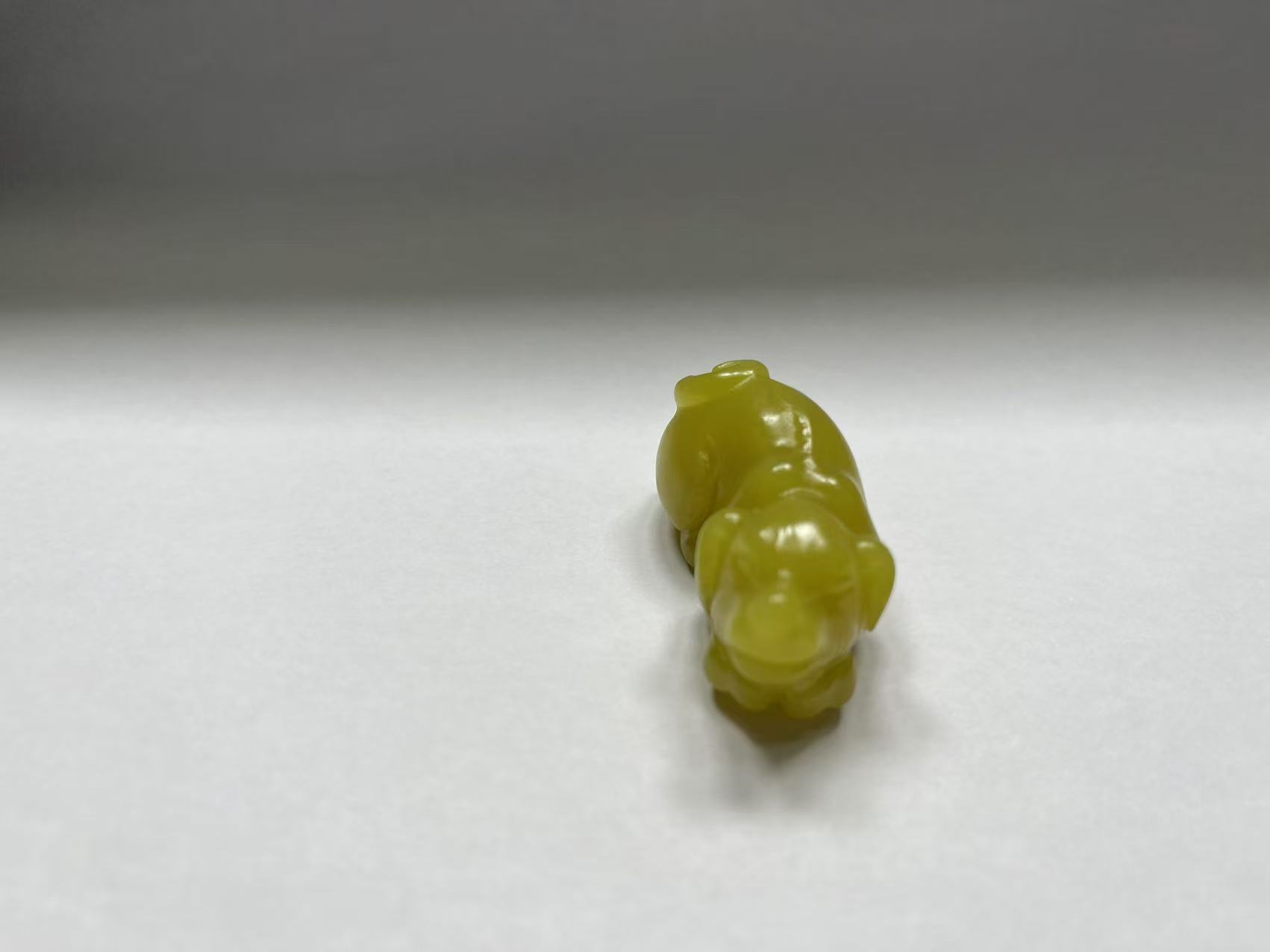 新疆若羌黄口小旺财  M10