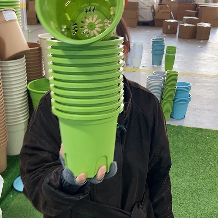 清仓圆控口15高15果绿无托10只