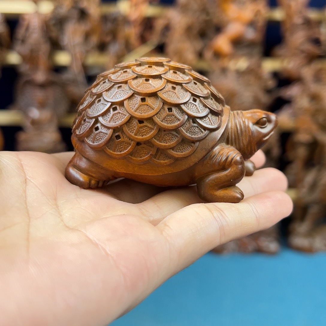 黄杨木小叶黄杨木