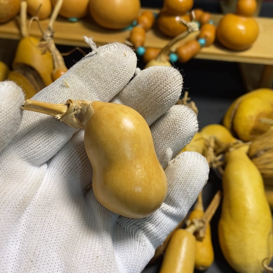 Z*葫芦葫芦真的好