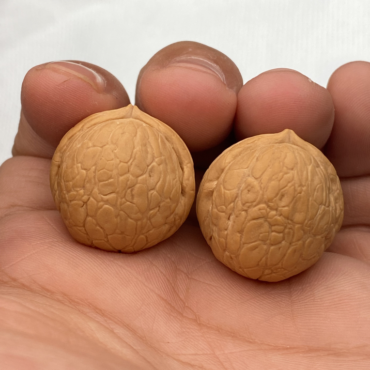 蛇皮球野生文玩核桃把件