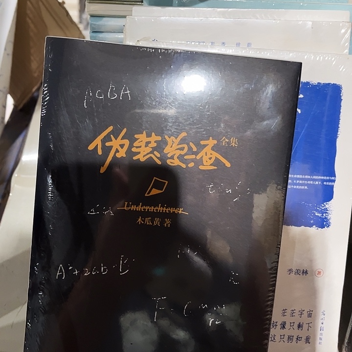 伪装学渣全新两本一套