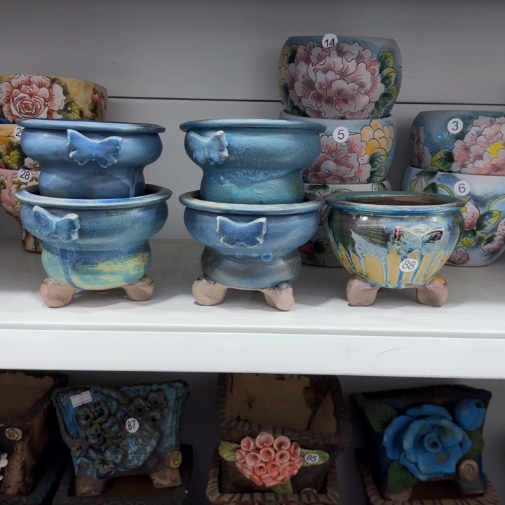 内口9.5高9左右5个