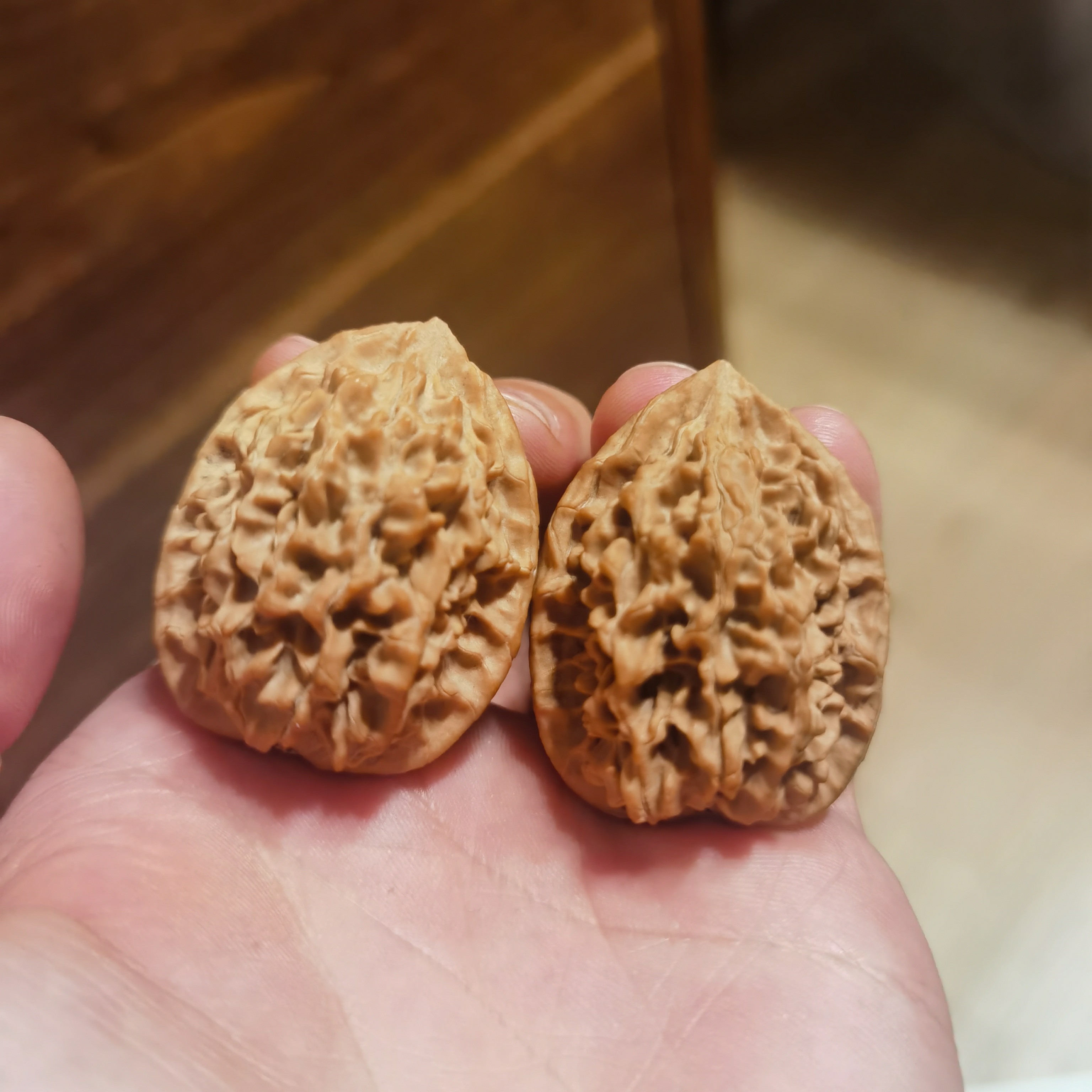 秦岭野生核桃，紫衫龙王鸡心。边34/肚34/高43。
