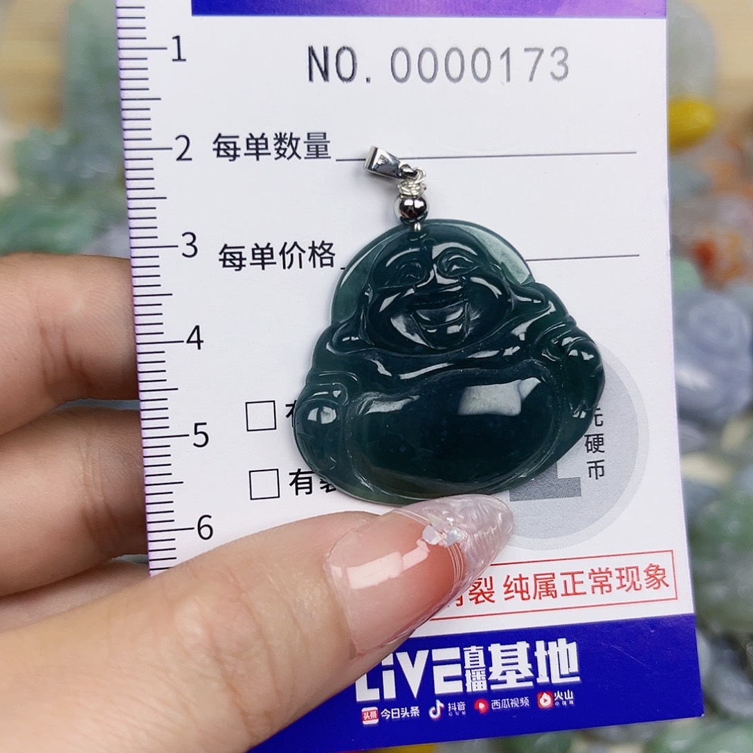 翡翠未镶嵌颈饰173