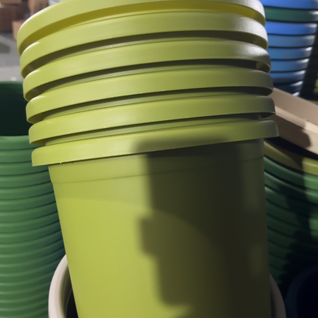 树脂特价5#无拖果绿6个