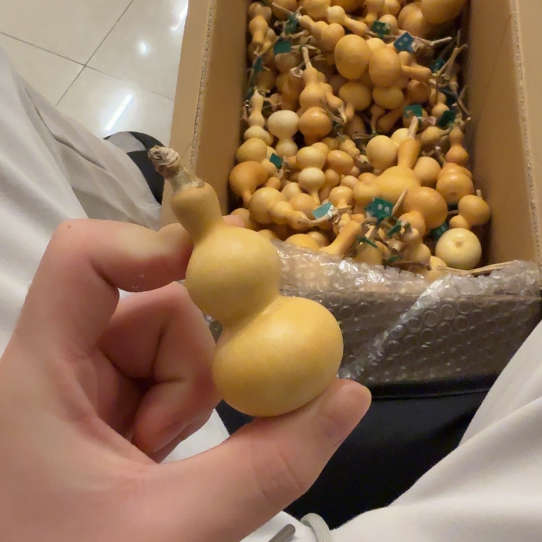 天***方舎得出品精选葫芦SHEDE